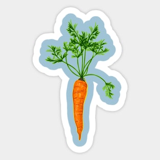 Carrot Sticker